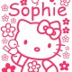 Hello Kitty Sienų dekoracinis lipdukas IŠPARDAVIMAS